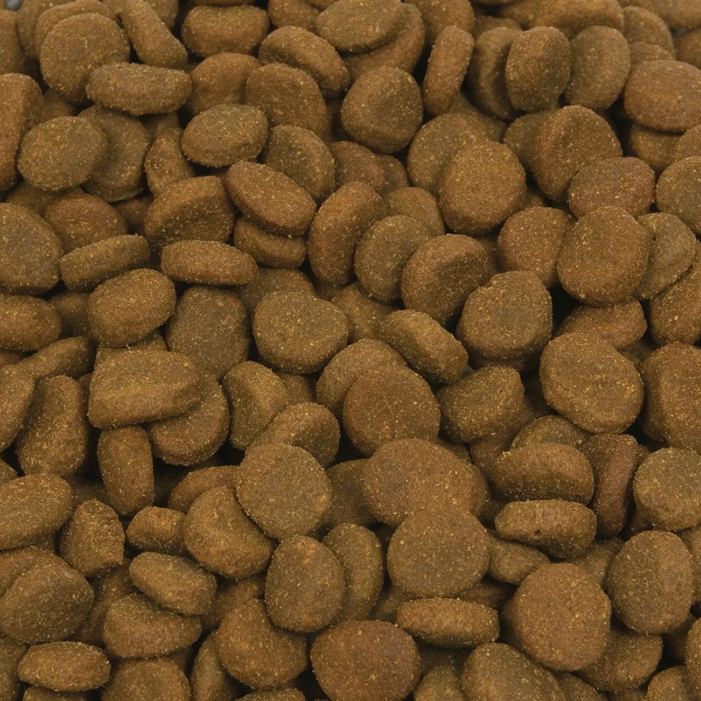Orijen Regional Red – ingrédients frais et régionaux pour une nutrition naturelle