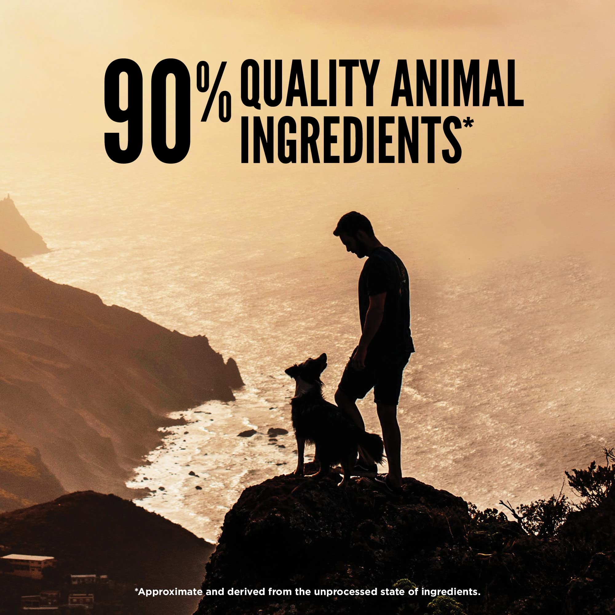 ORIJEN Regional Red protéines élevées pour chiens actifs et énergiques