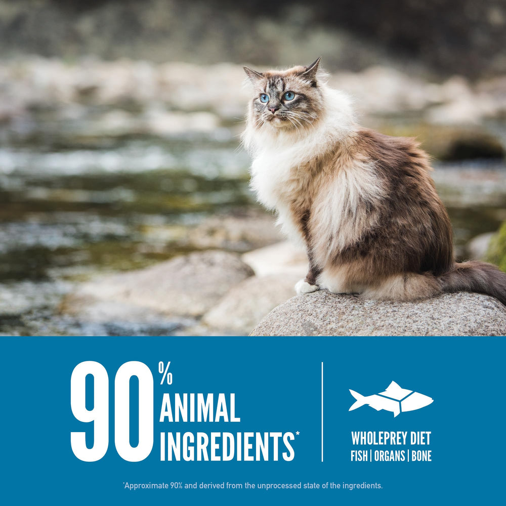 ORIJEN Six Fish: enrobage de foie séché pour un goût appétent.