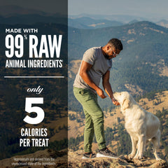 ORIJEN TUNDRA, ingrédients animaux de haute qualité et saveur naturelle.