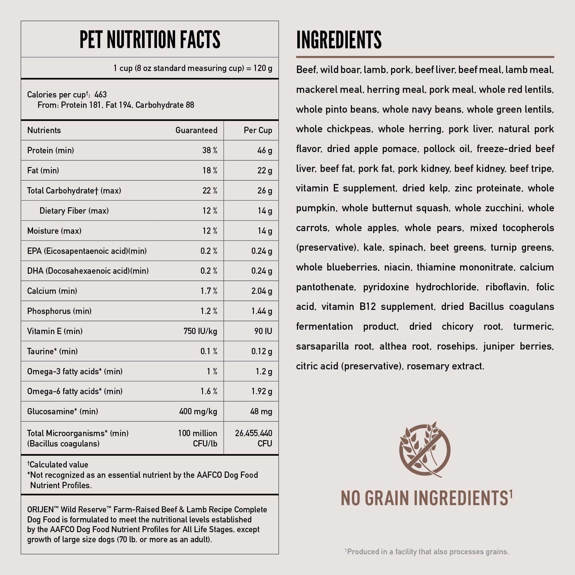 ORIJEN Wild Reserve – bol chien en train de manger, repas savoureux.