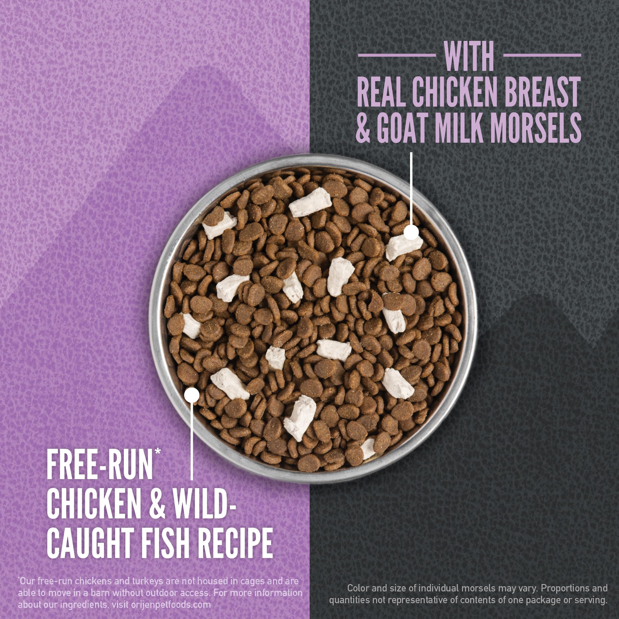 ORIJEN Wild Reserve croquettes chaton: texture adaptée.
