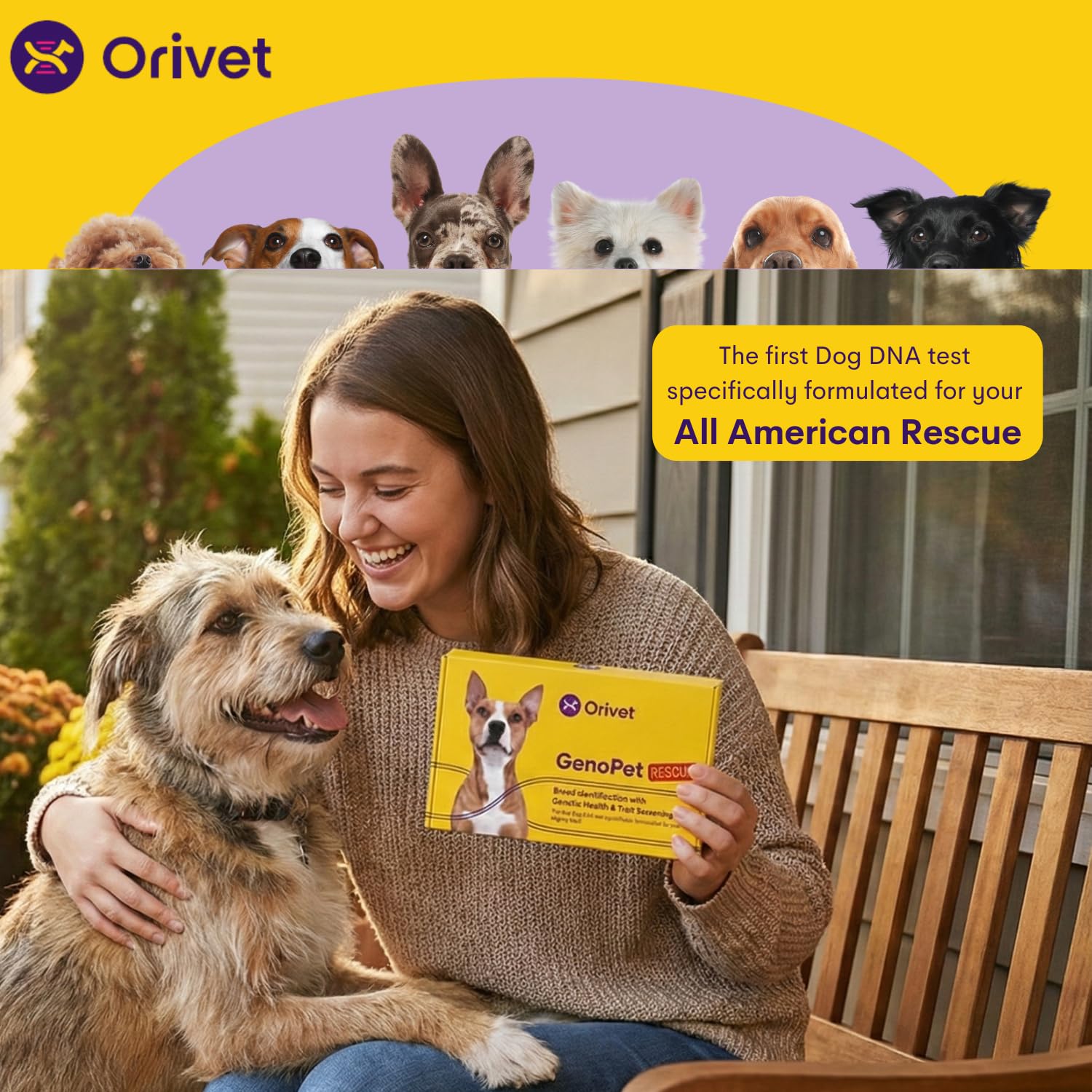 ORIVET Aperçus Traits Chien: idées sur les traits et comportements possibles.