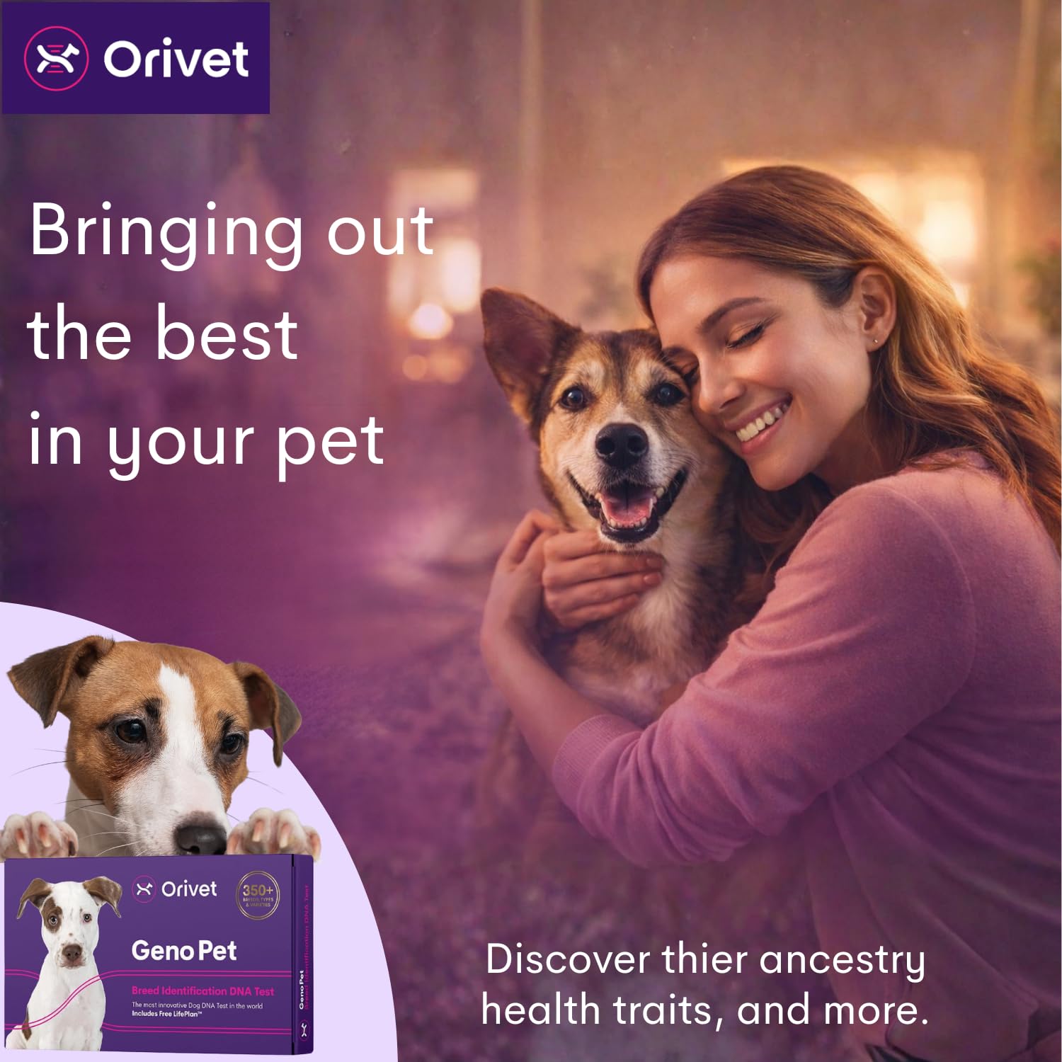 Conseils nutrition et activite bases sur l ADN du chien ORIVET