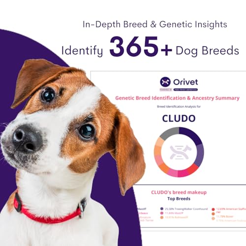 Tampon buccal ORIVET pour echantillon ADN chien pret a analyse