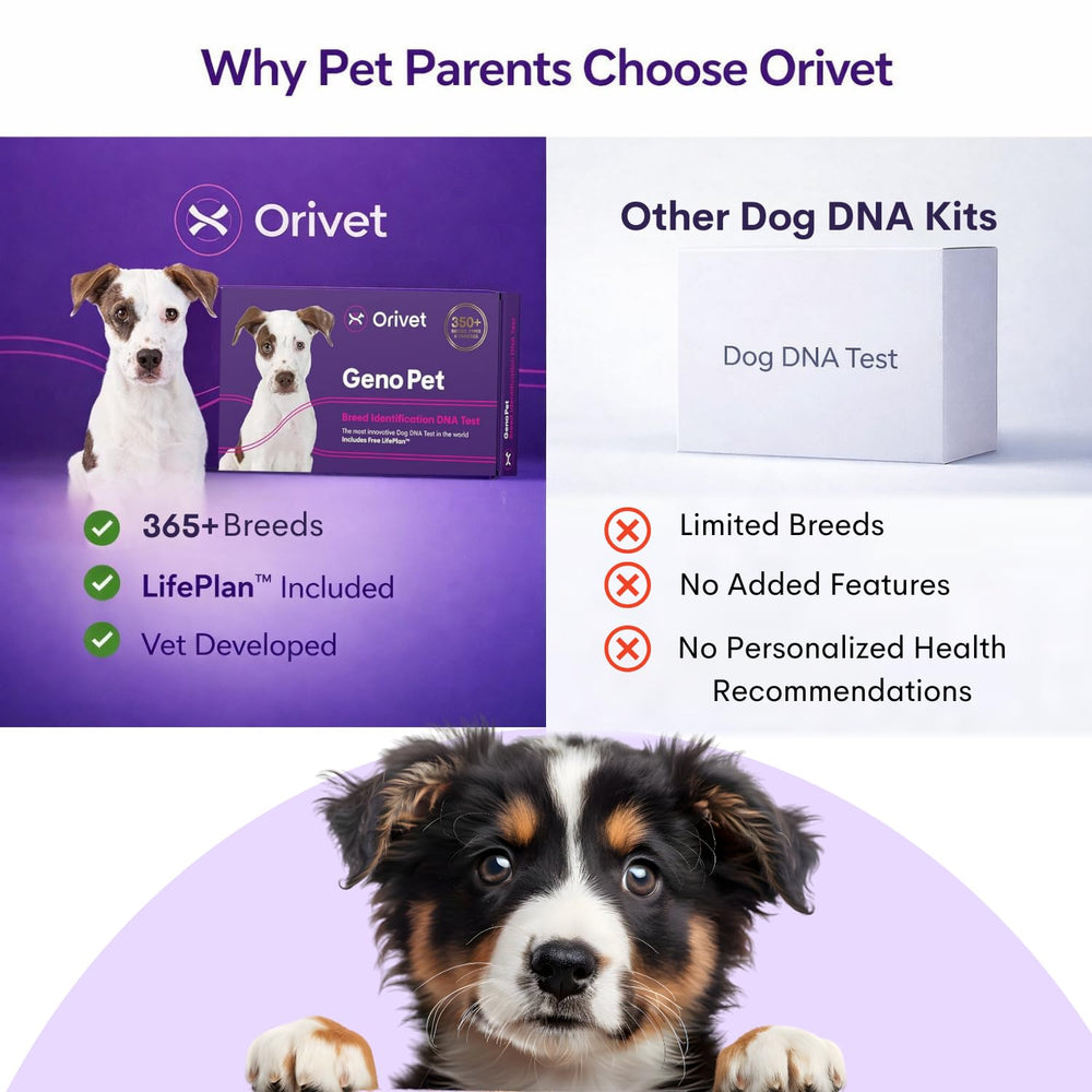 Kit ADN ORIVET utilise a domicile sans visite veterinaire