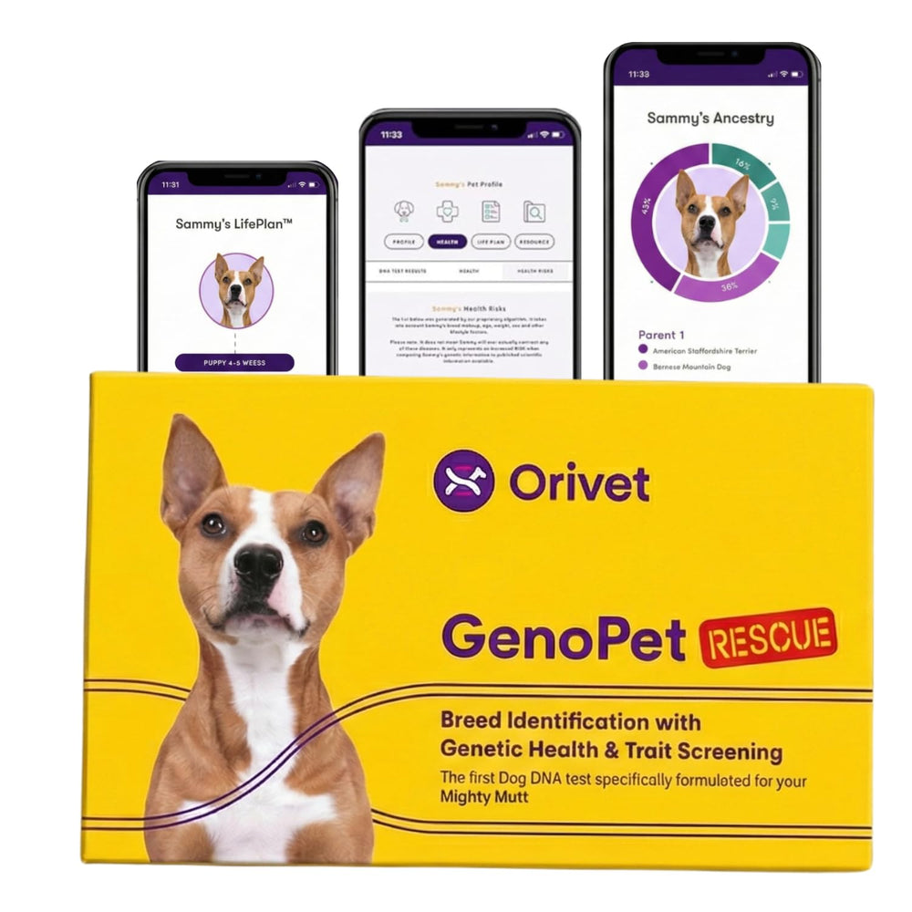 ORIVET Kit ADN Chien: emballage pratique pour l'échantillon à domicile.