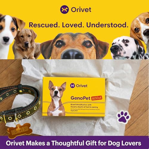 ORIVET Laboratoire ADN Chien: analyses fiables pour retracer l'ascendance et les traits.