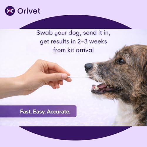 Laboratoire ORIVET realisant l analyse genetique du chien