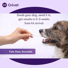 Laboratoire ORIVET realisant l analyse genetique du chien