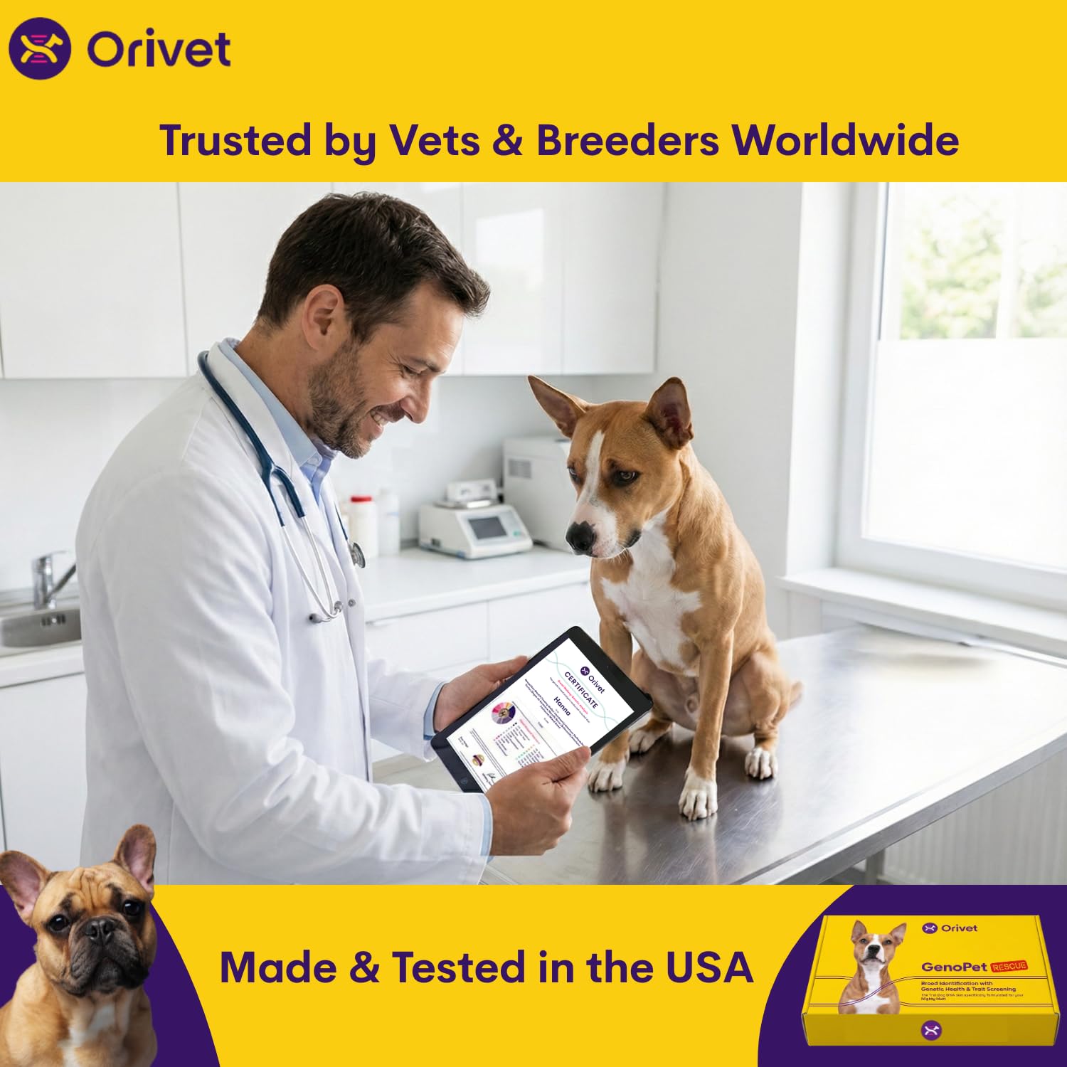 ORIVET Recommandations Nutrition Chien: conseils personnalisés pour l'alimentation.