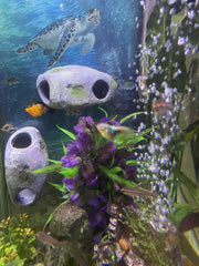 OrnaMounts refuge-poissons-securisant crée un espace discret d’observation