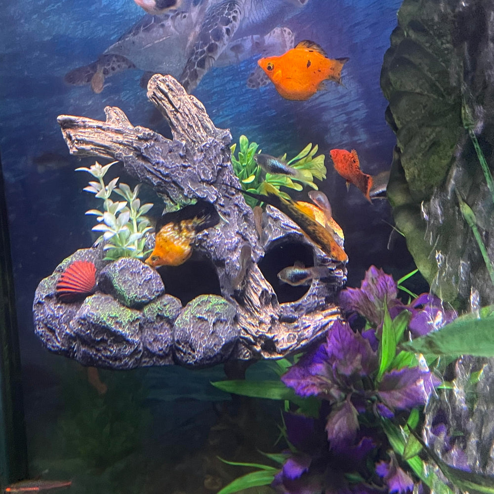 OrnaMounts attache-magnetique murale pour aquarium, fixation sûre et sans ventouses.