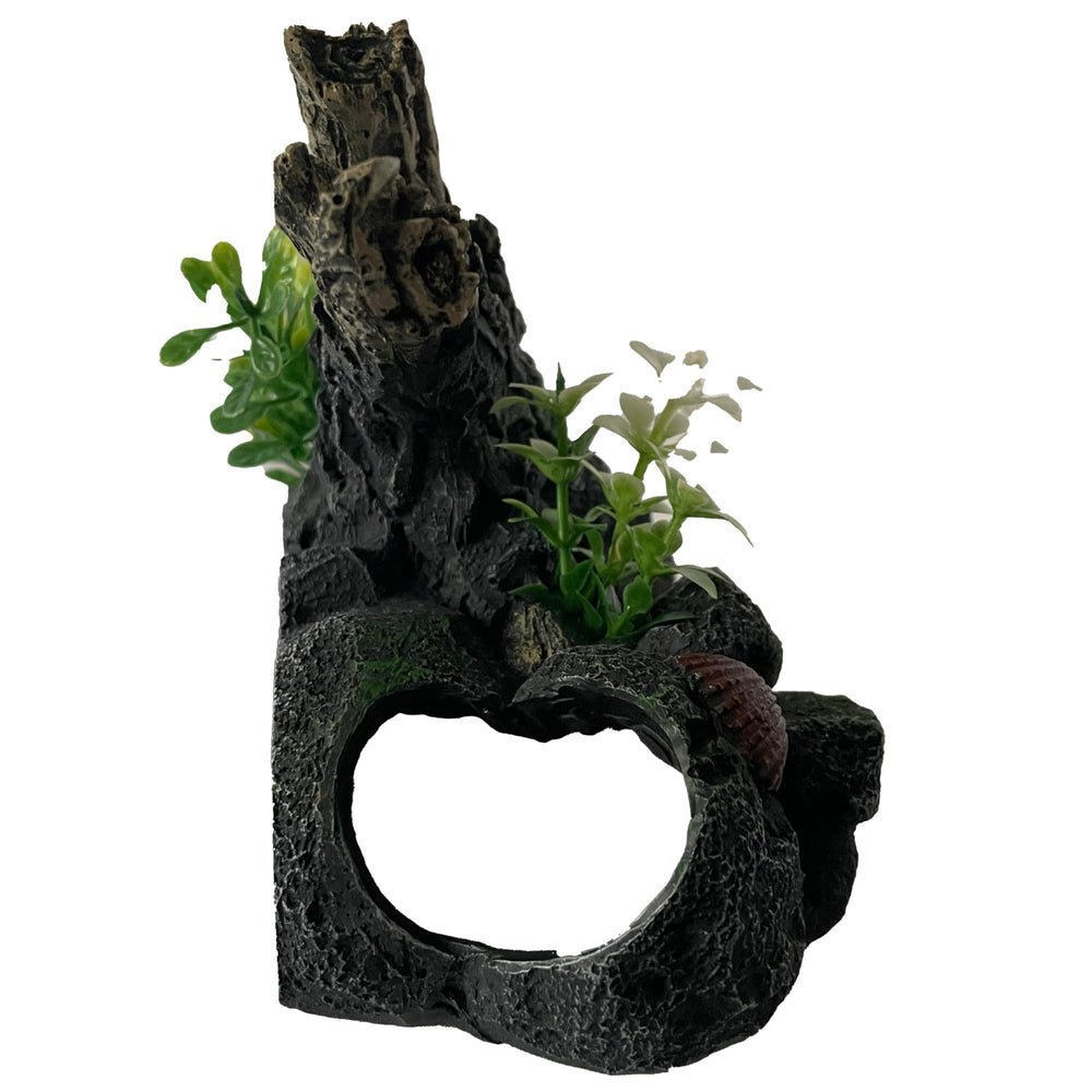 OrnaMounts décor mural driftwood avec plantes, harmonie visuelle naturelle.