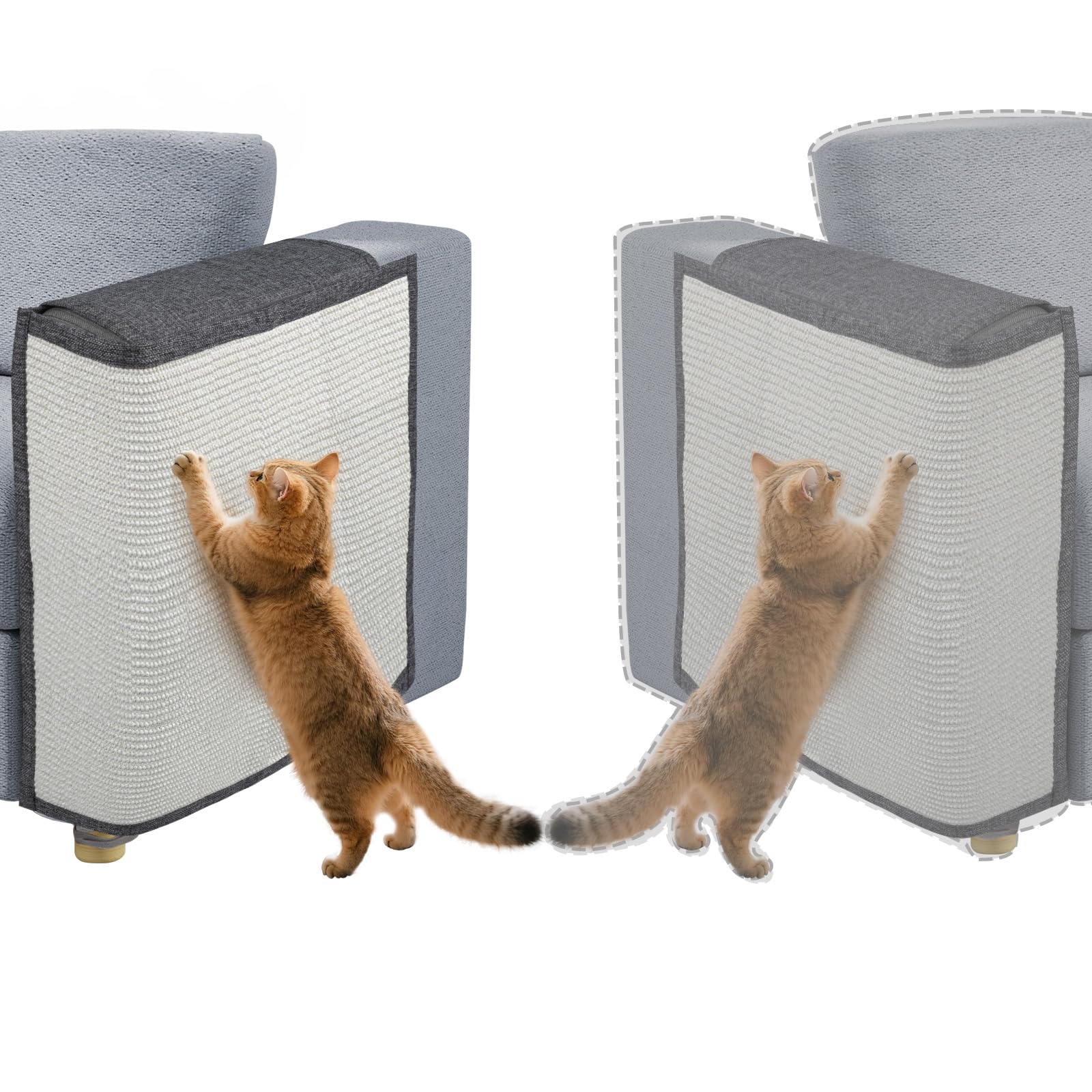 Oroonoko protection durable conçue pour les griffes quotidiennes des chats.
