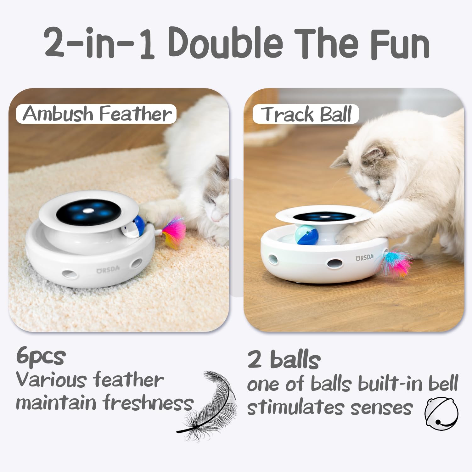 ORSDA plumes variées pour jouet chat, divertissent et prolongent le jeu.