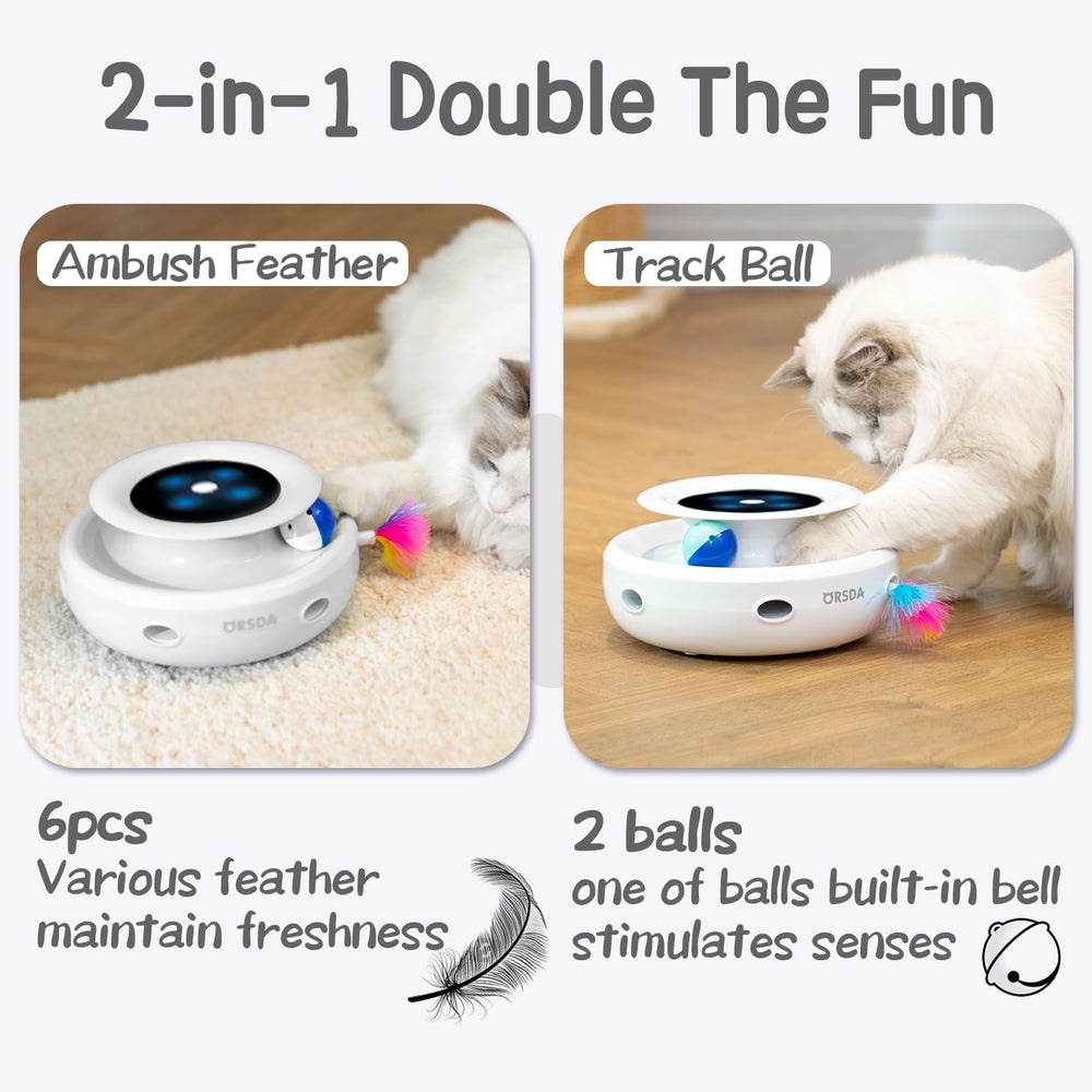 ORSDA plumes variées pour jouet chat, divertissent et prolongent le jeu.