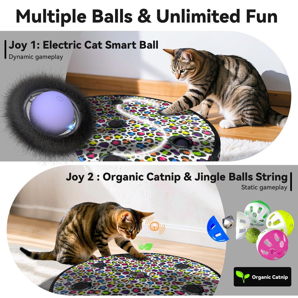 ORSDA balle trois modes, rapide et lent, adaptée à chaque chat