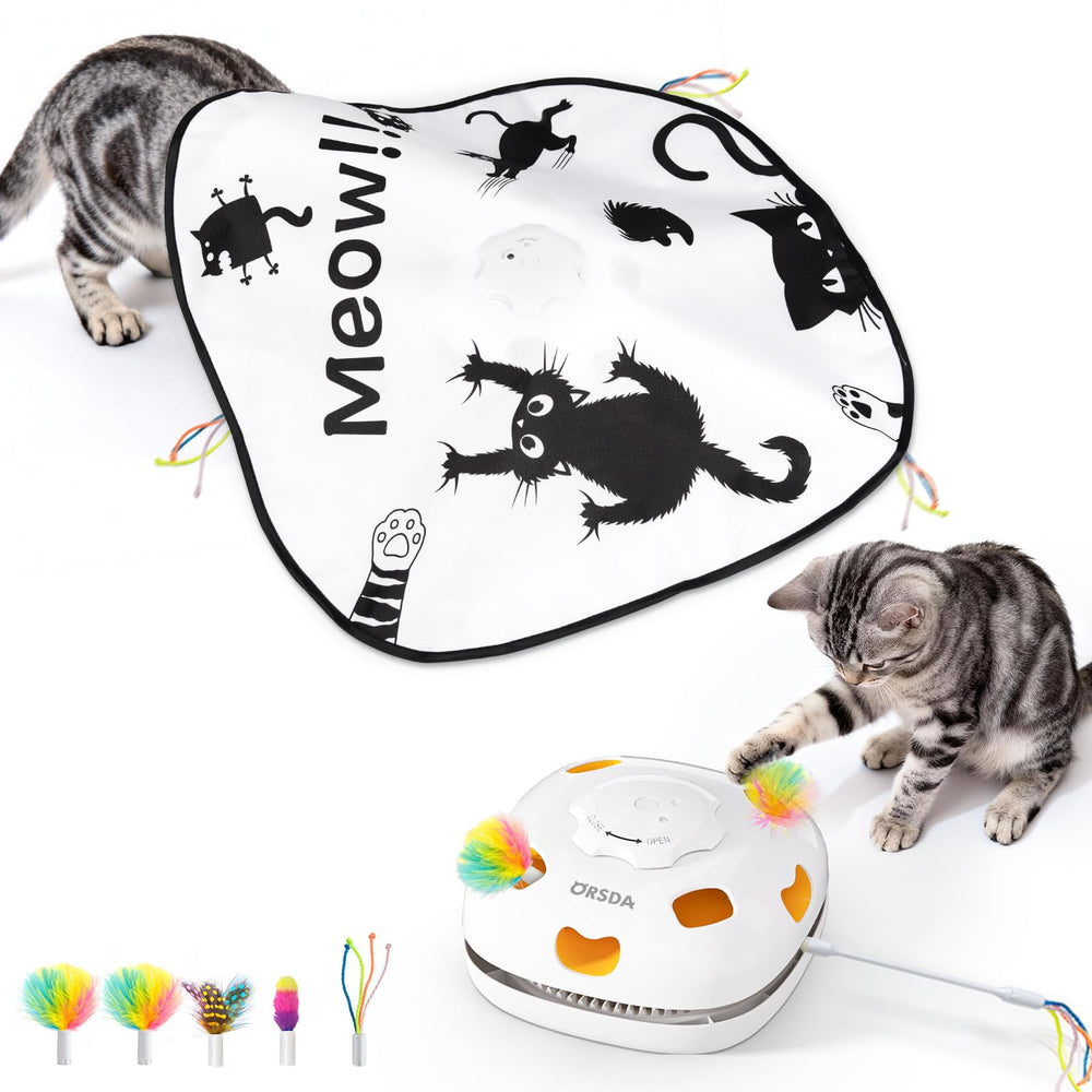 ORSDA chat-jouet-interactif-4-en-1: stimulation et exercice pour chats d'intérieur.