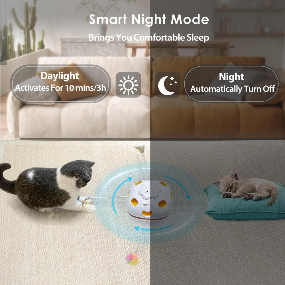 Jouet ORSDA idéal pour intérieur, canalise l’énergie des chats.