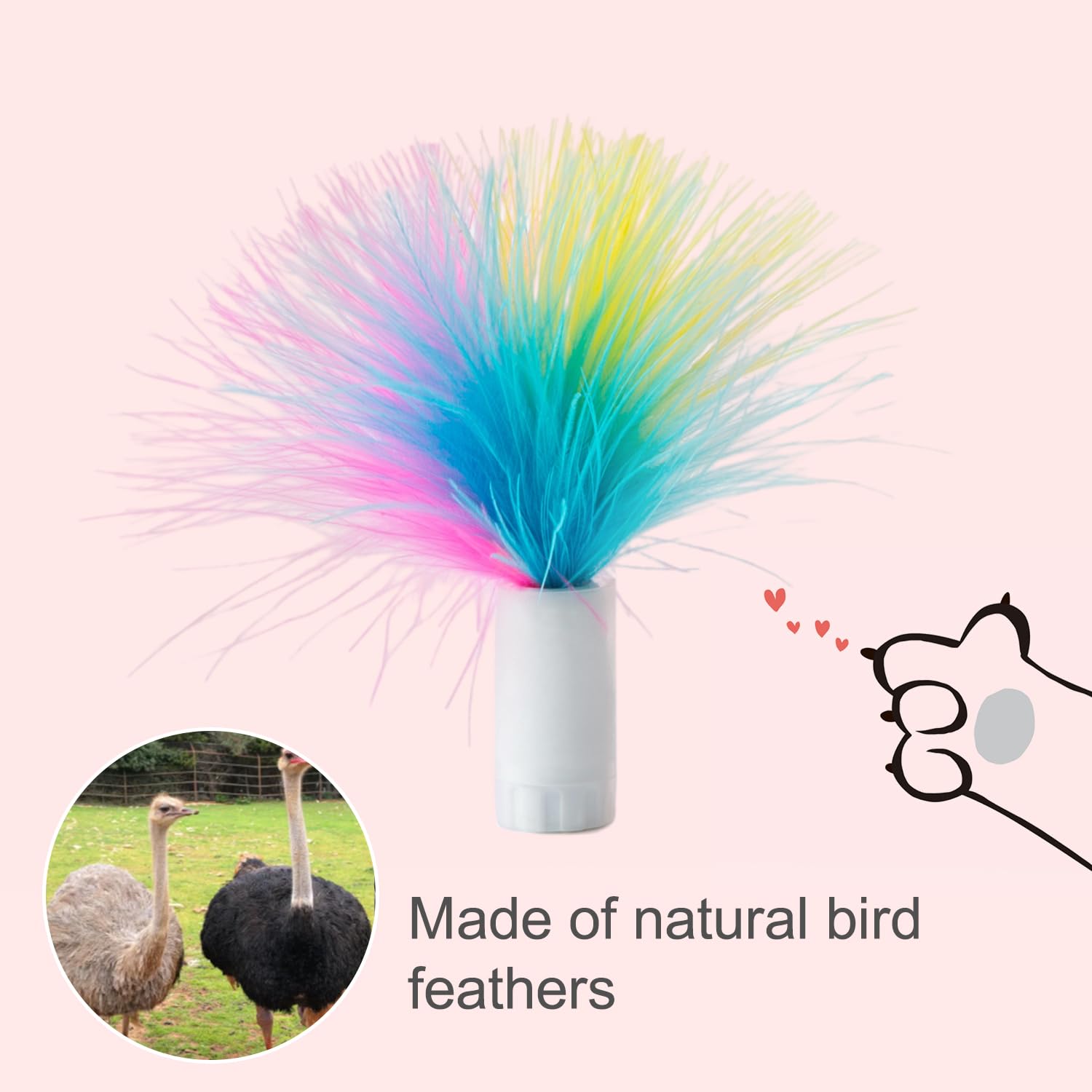 ORSDA plumes remplaçables pour chat, accessoires variés pour des sessions de jeu prolongées.