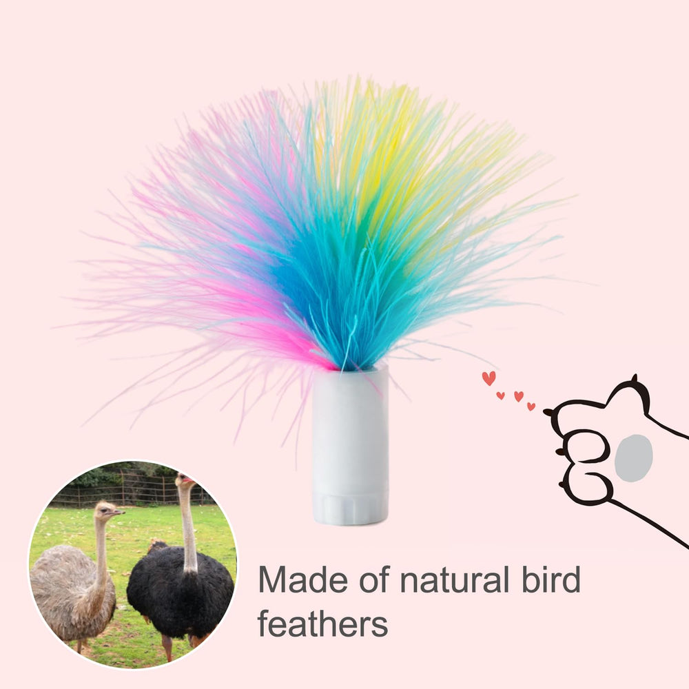 ORSDA plumes remplaçables pour chat, accessoires variés pour des sessions de jeu prolongées.