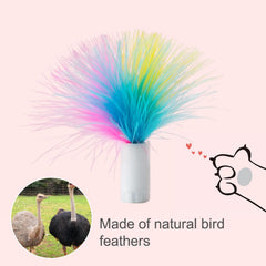 ORSDA plumes remplaçables pour chat, accessoires variés pour des sessions de jeu prolongées.