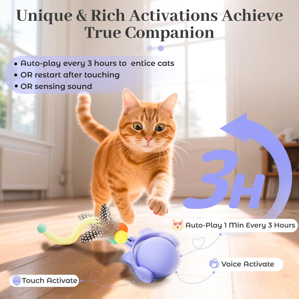ORSDA sons-attractifs-quatre: stimulation auditive pour le chat.