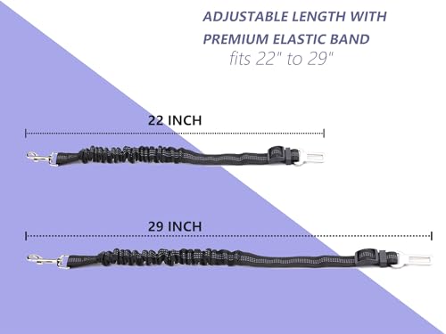 Ortarco sangle nylon durable pour sécurité routière.