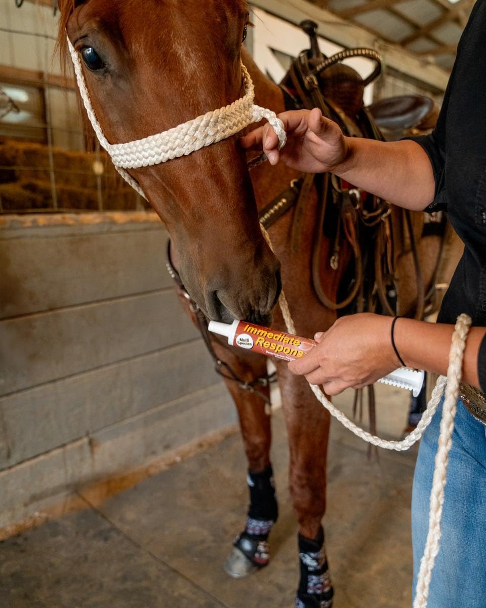 Application orale facile avec ORTHO EQUINE pour le soutien digestif lors des trajets.