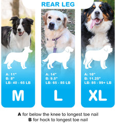 OrthoVet Attelle patte arrière utilise des matériaux légers et durables pour le confort.