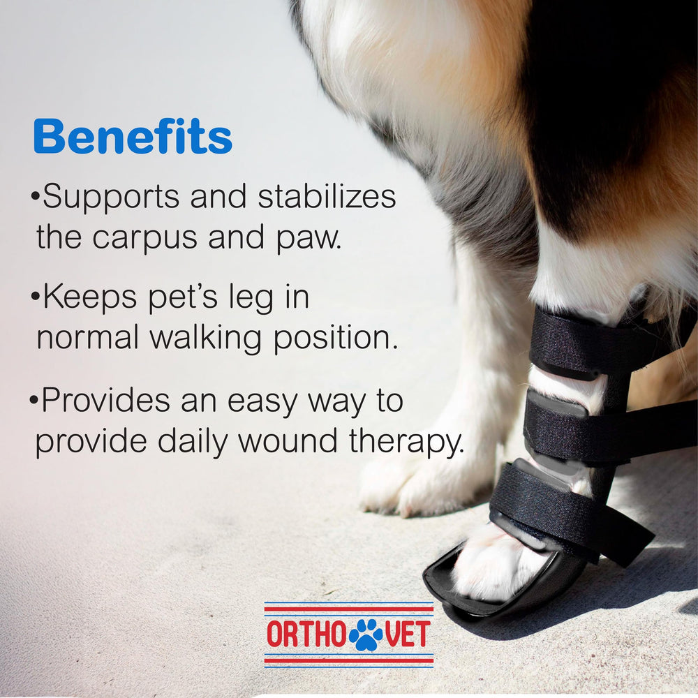 OrthoVet Soin polyvalent: accompagnement post-opératoire et mobilité retrouvée