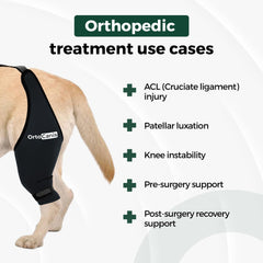 Attelle Ortocanis genou chien droit, montage simple et port confortable.