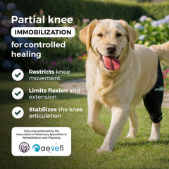 Ortocanis attelles aluminium genou chien, postoperatoire et immobilisation securisee.