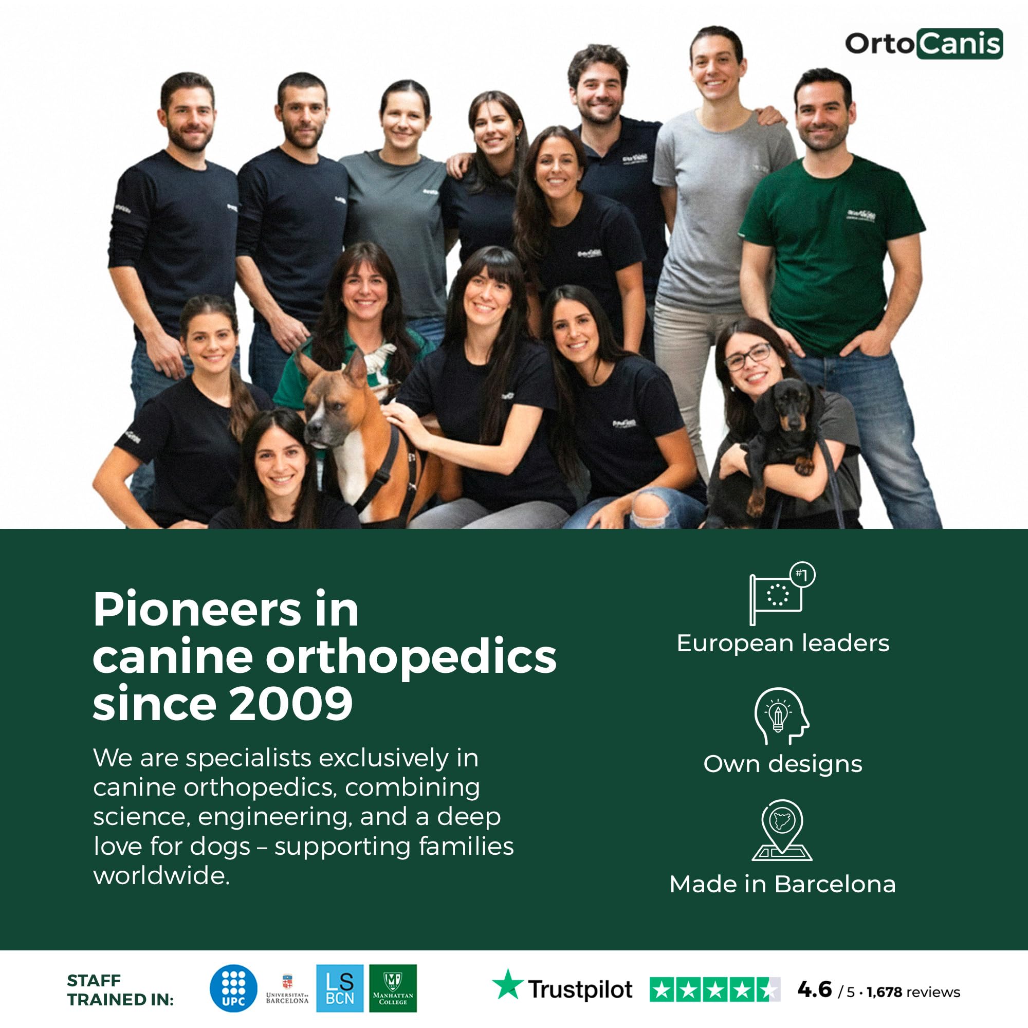 Ortocanis genou du chien - ajustement facile avec sangles pour maintien personnalisé
