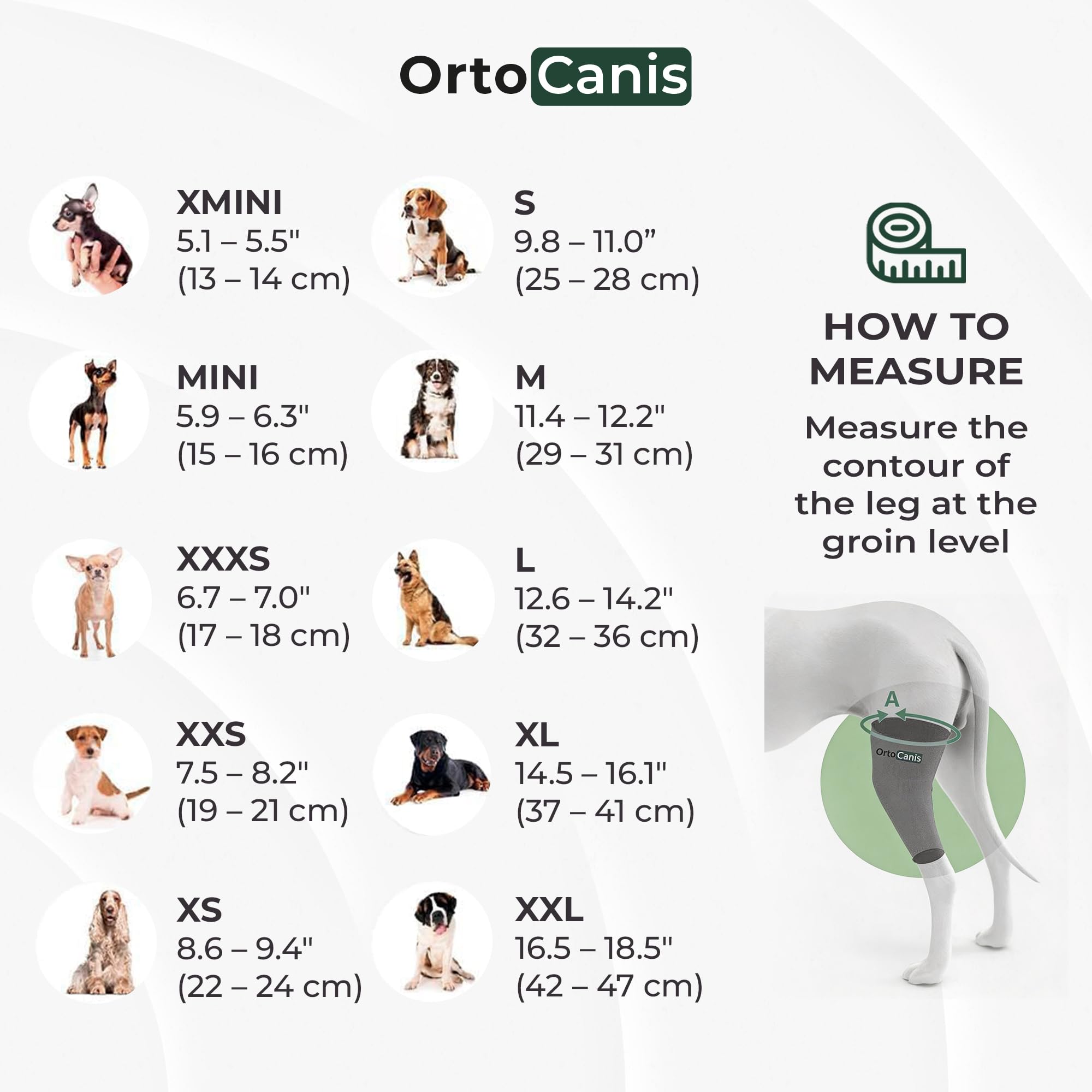 Ortocanis genou du chien - mouvement naturel avec support ajustable