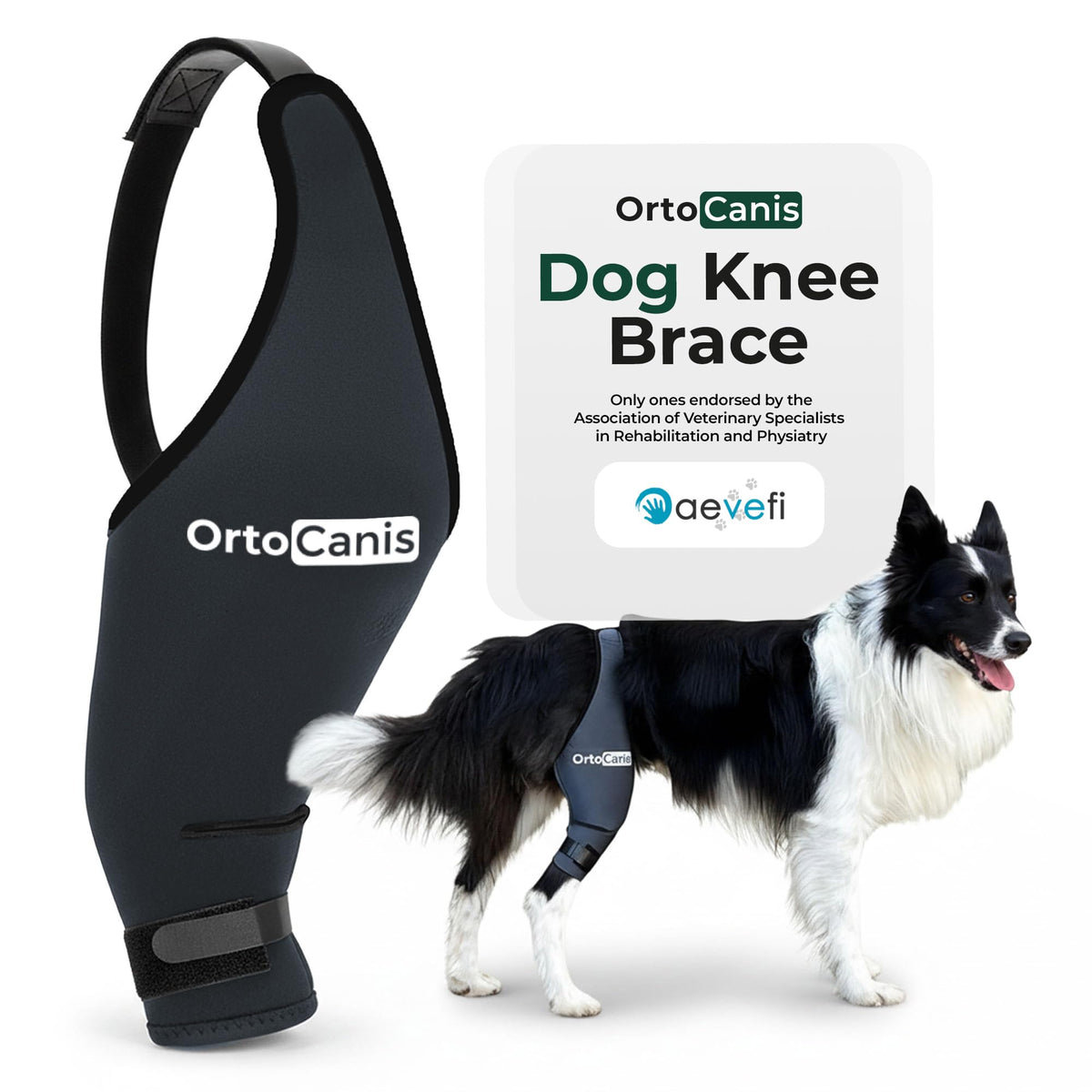 Ortocanis orthèse genou chien gauche pour soutien articulations et mobilité