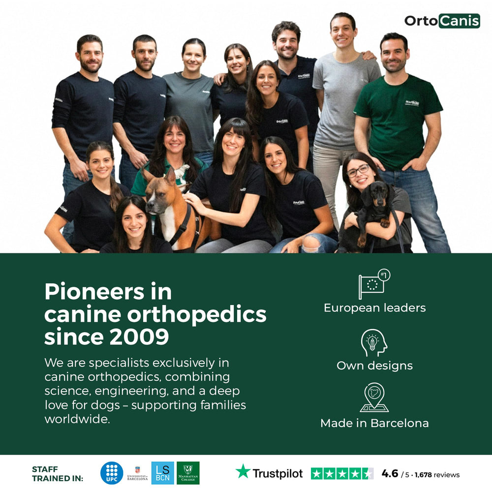 Ortocanis orthèse genou chien améliore mobilité quotidienne