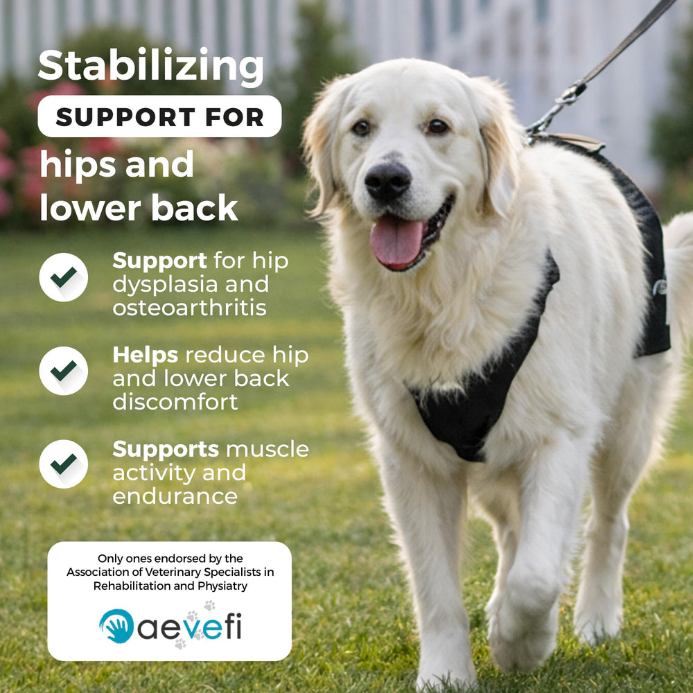 Attelle de hanche Ortocanis ajustable pour chien, stabilité renforcée.