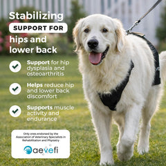 Attelle de hanche Ortocanis ajustable pour chien, stabilité renforcée.