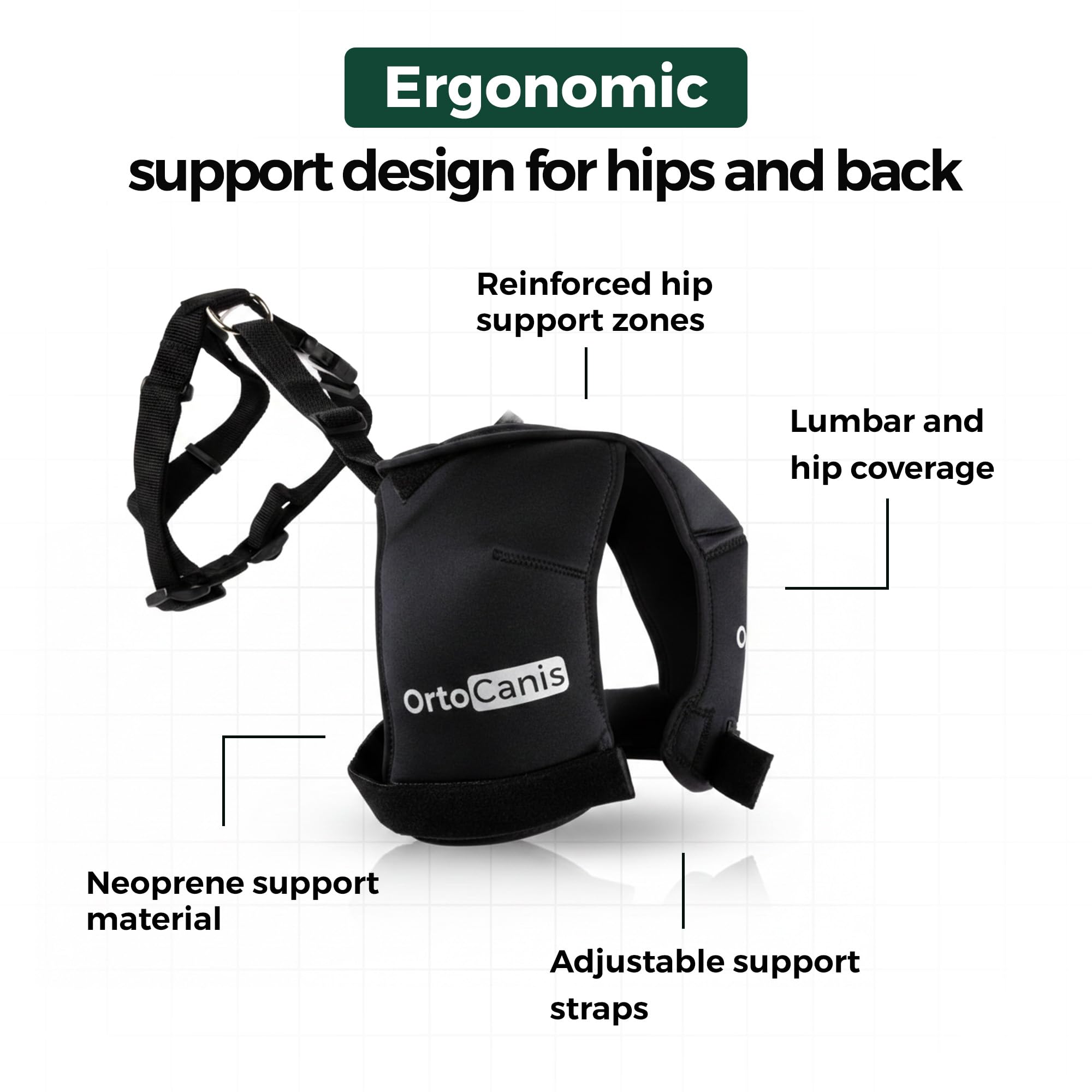 Conception ergonomique Ortocanis, ajustement confortable et stable.