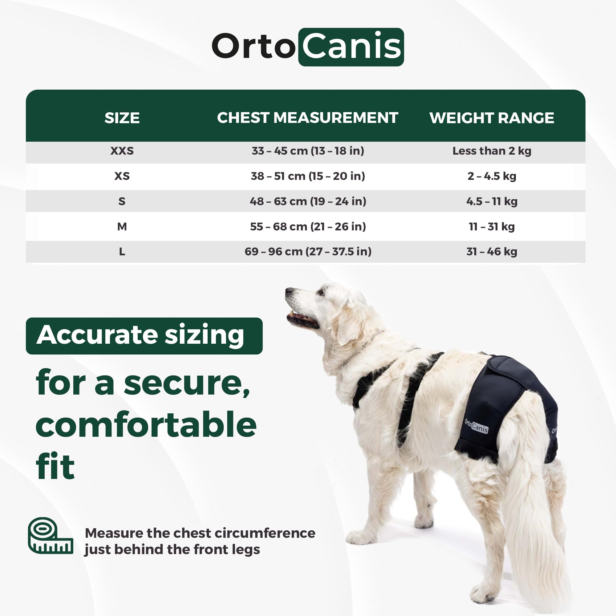 Orthèse Ortocanis pour chien, mobilité accrue pendant les jeux.
