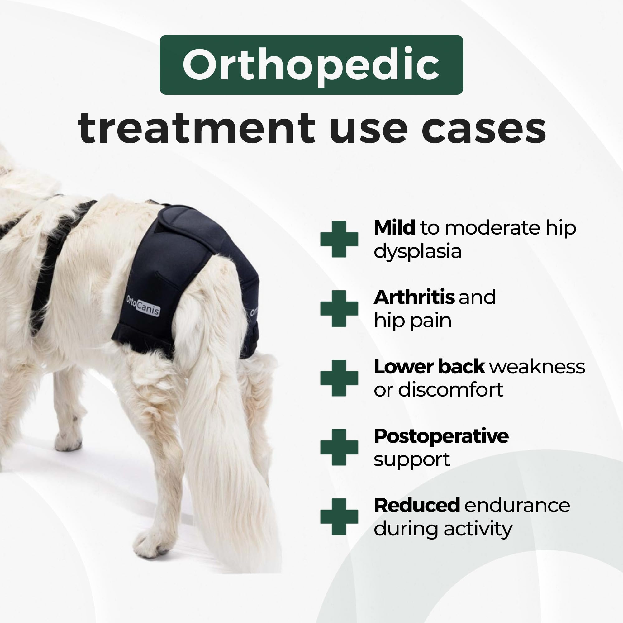 Orthèse hanche Ortocanis, stabilité optimale lors des promenades.