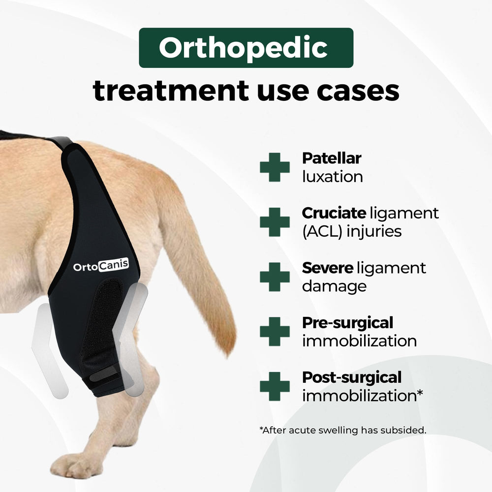Ortocanis Stabilisation genou chien droit-arrière, réduction des mouvements latéraux.