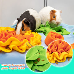 ORZECHKO Tapis-couleurs-attirantes-petits-animaux: attire l’attention et stimule l’intérêt.