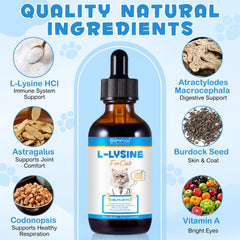 O.SECERT Lysine et astragale pour soutenir les défenses naturelles du chat.