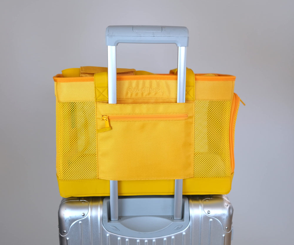 Oskar&Friends design minimaliste et pratique pour le quotidien