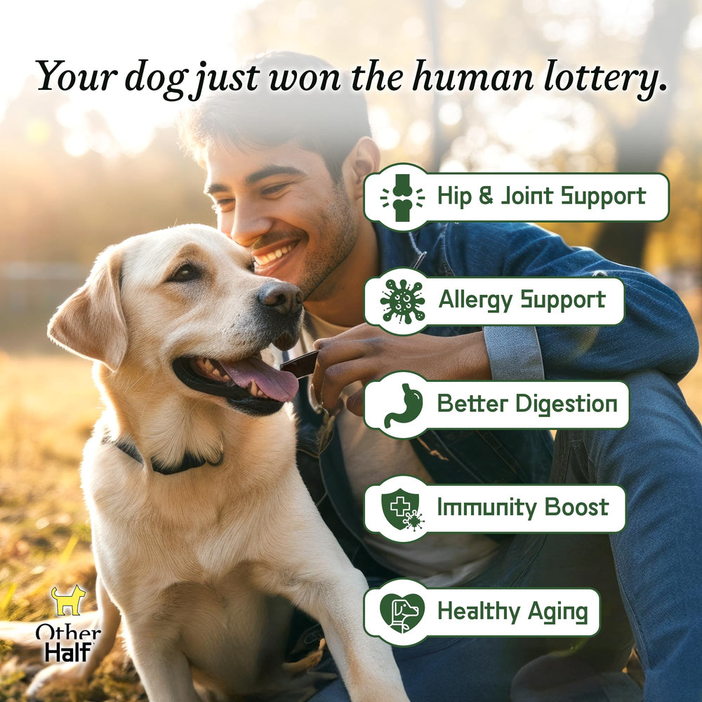 Other Half – immunitaire : soutien du système immunitaire canin.