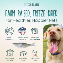 Friandises de vairons Otis et Pearly — croquant idéal pour chiens en entraînement.