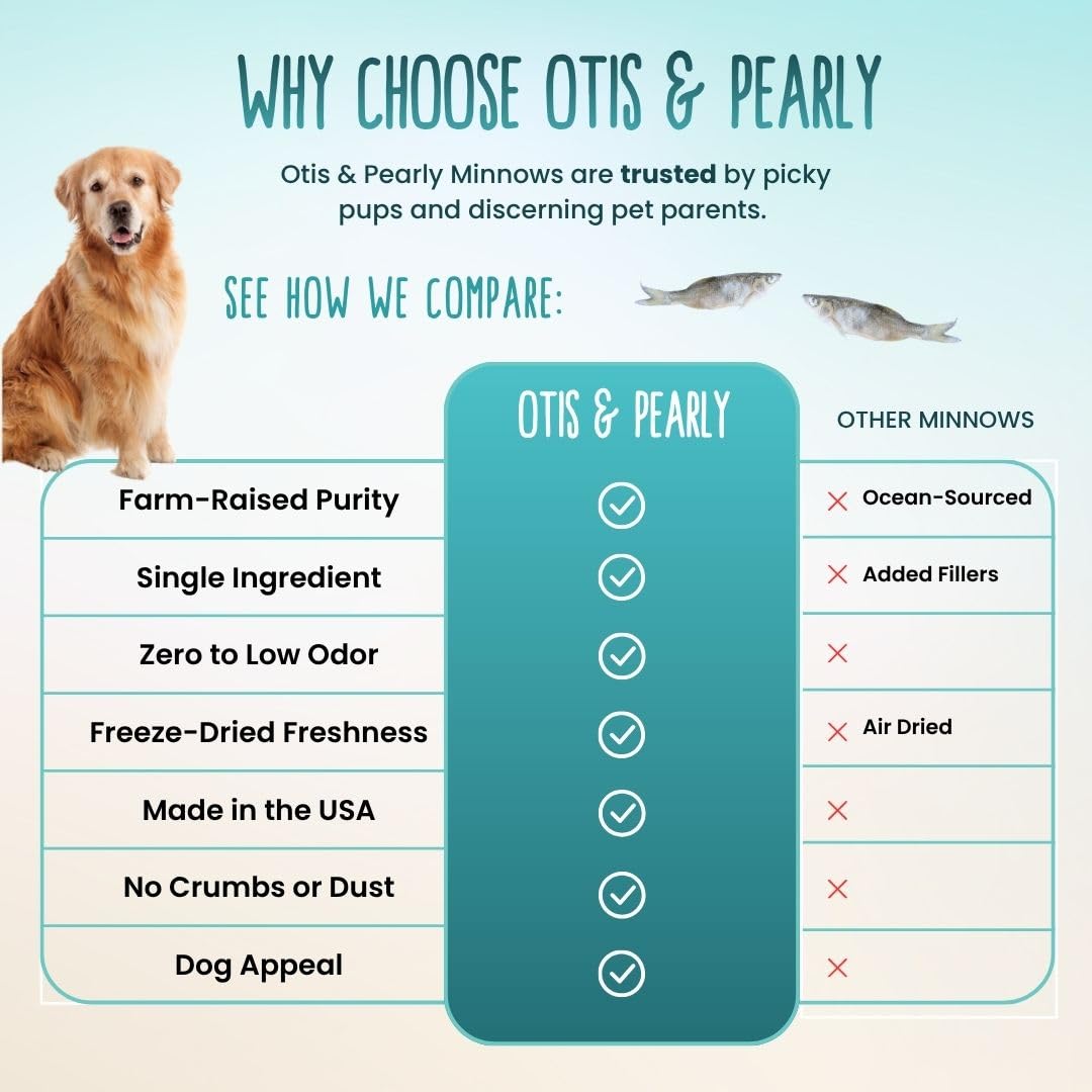 Gros plan sur les vairons Otis et Pearly — source de protéines propres.